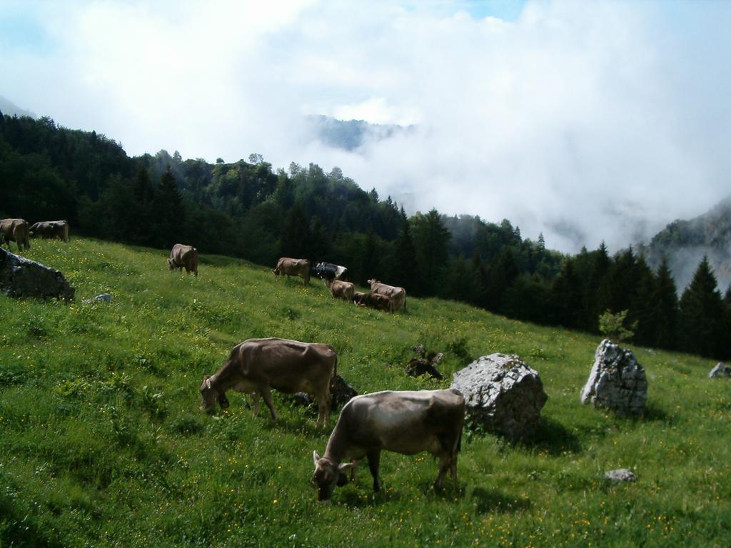 Agriturismo La Zangola Tremosine Екстер'єр фото